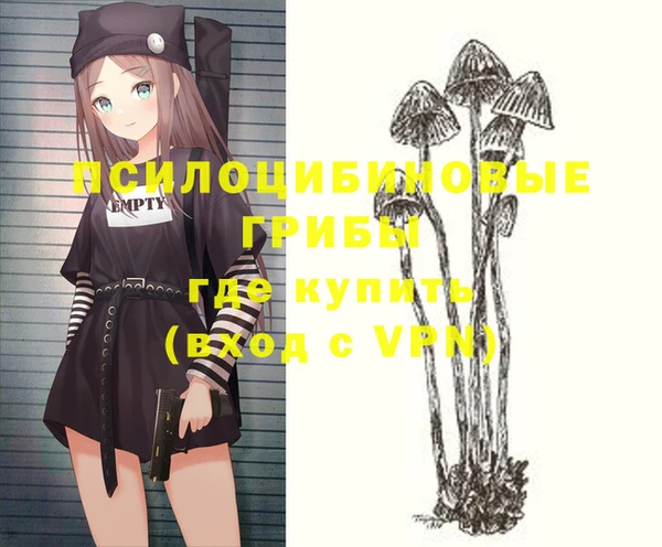 ECSTASY Козловка