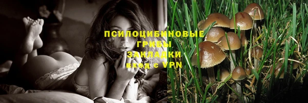 ECSTASY Козловка