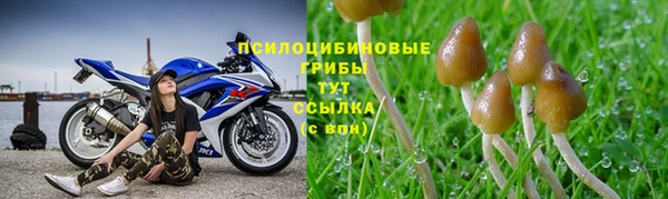 наркотики Арсеньев