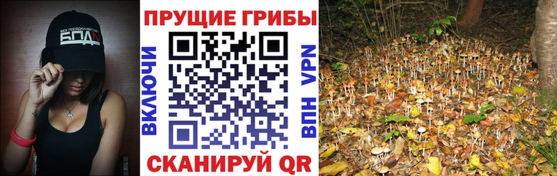 Галлюциногенные грибы MAGIC MUSHROOMS Керчь