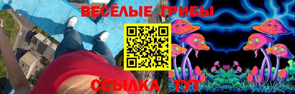 Керчь  Псилоцибиновые грибы Magic Shrooms  Вход с VPN  Псилоцибиновые грибы Cubensis 