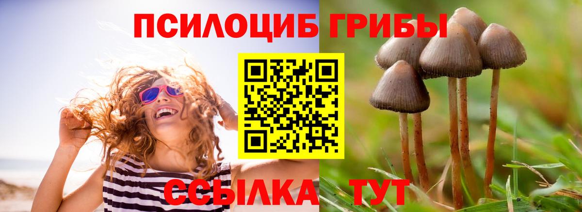 Галлюциногенные грибы MAGIC MUSHROOMS Керчь